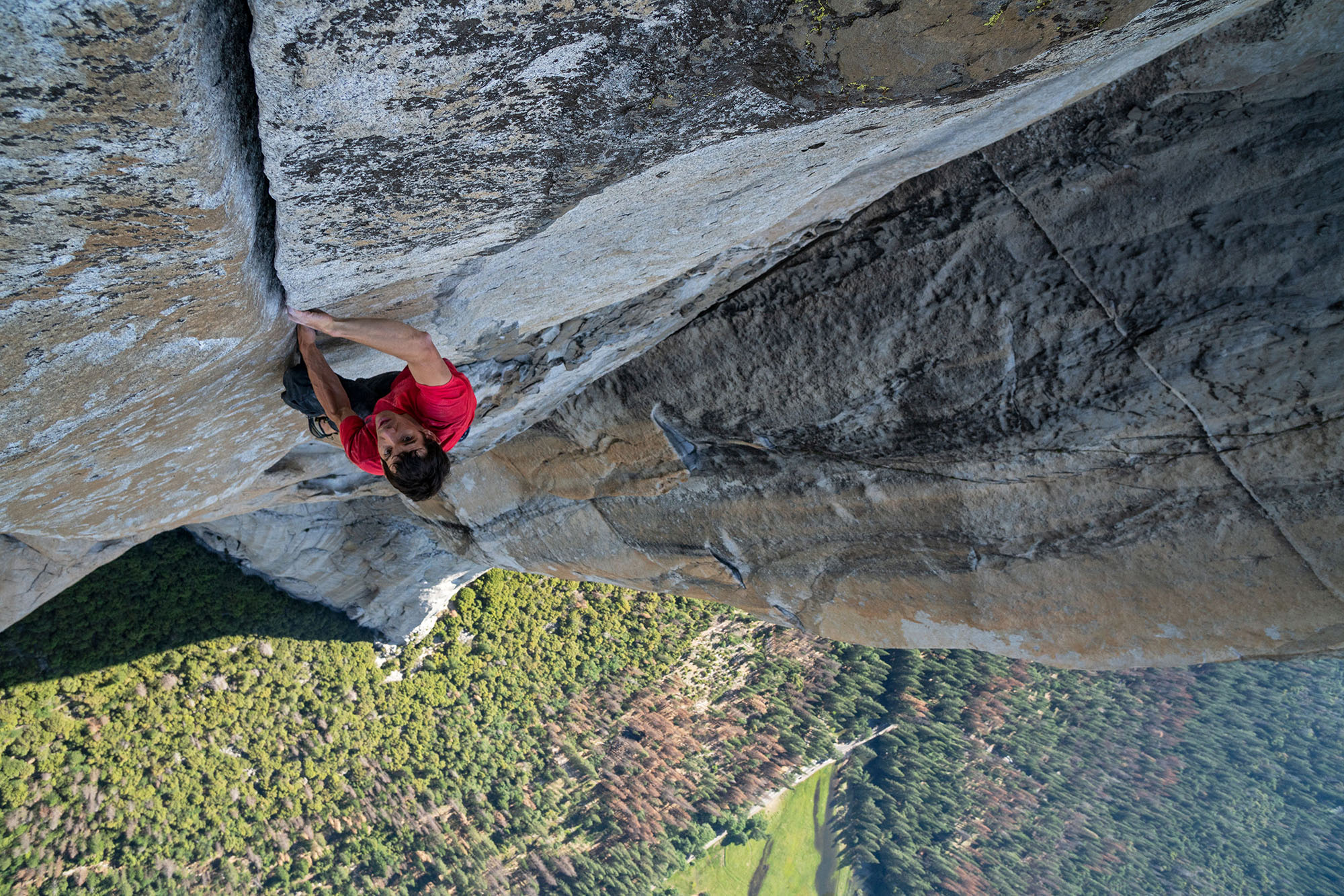 Image Nation Abu Dhabi and National Geographic’s critically-acclaimed documentary ‘Free Solo’ wins 7 Emmy Awards